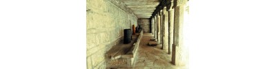 252. திருப்பாசூர்